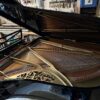 1/2 queue PLEYEL – Image 2